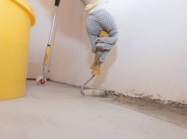 Best Bed Bug Extermination  in Clifton, AZ